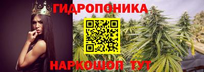 стаф Донской