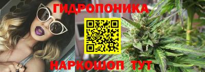 стаф Донской