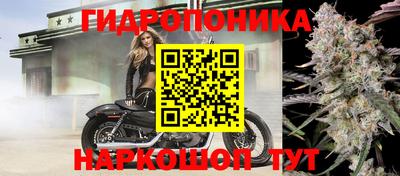 стаф Донской