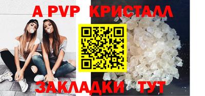 стаф Донской