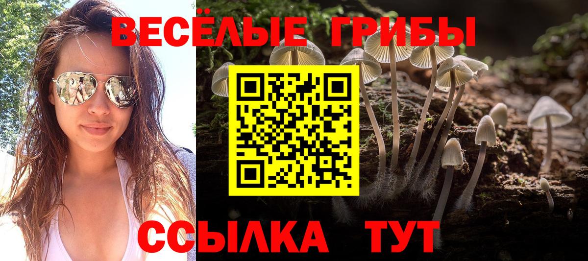 Псилоцибиновые грибы мухоморы Нововоронеж